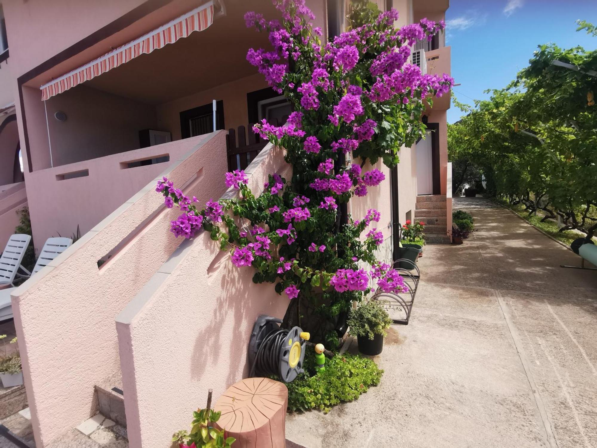 Apartament Franolic